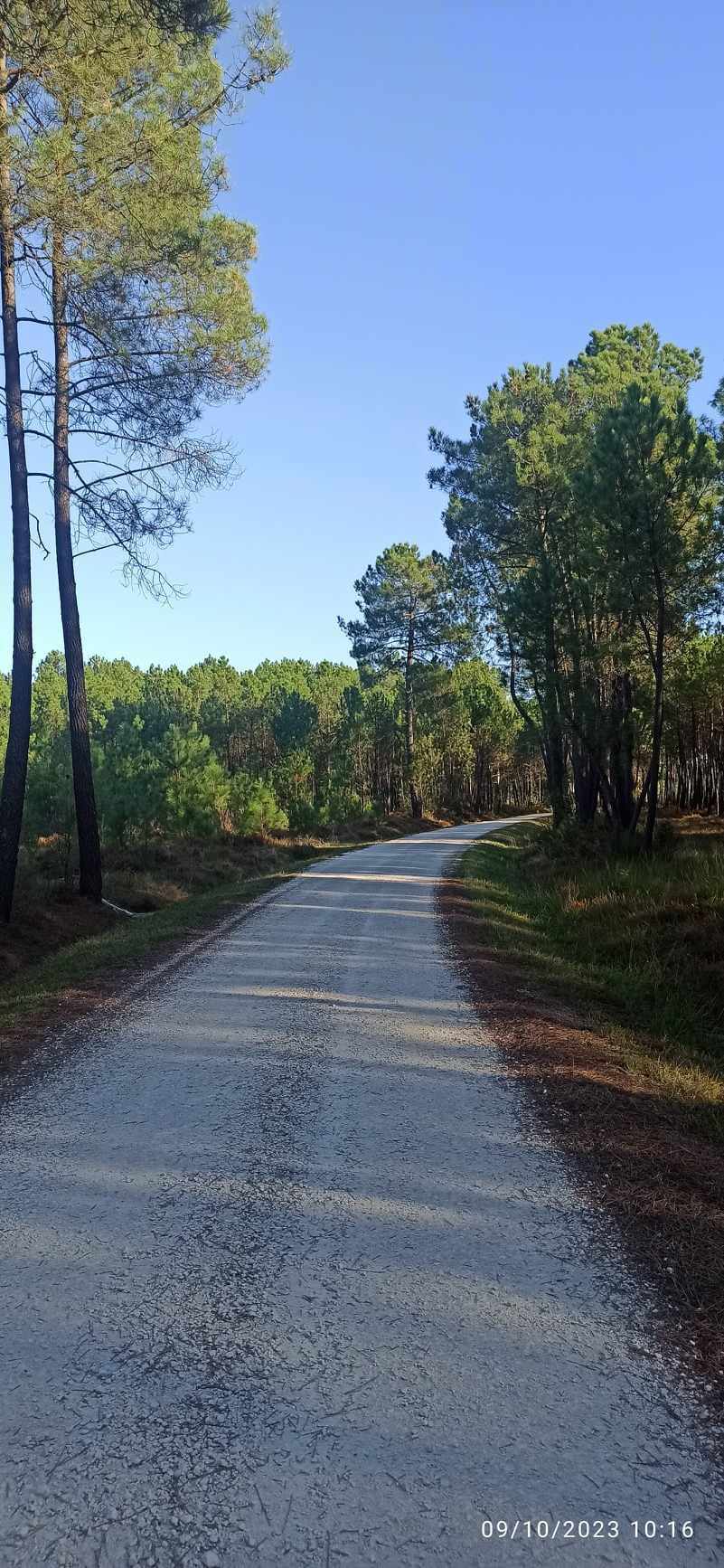 À la lisière du bois, Saint-Martin-Curton - photo 12