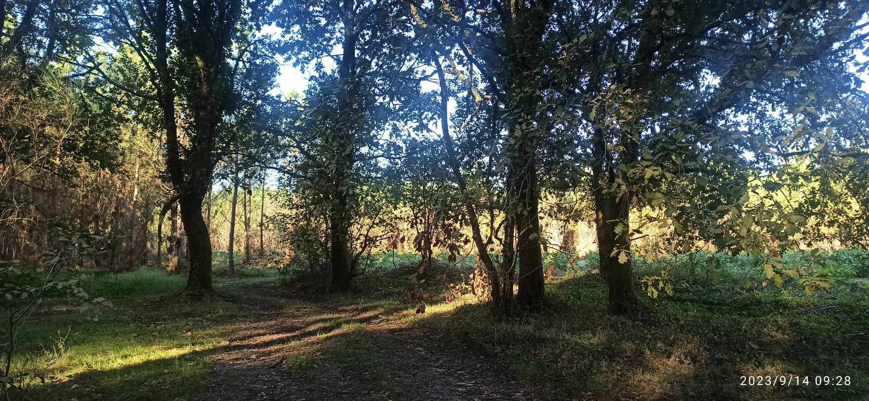 À la lisière du bois, Saint-Martin-Curton - photo 9