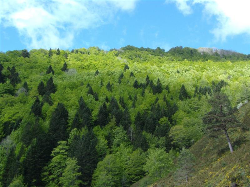 CPIE Pays Basque 