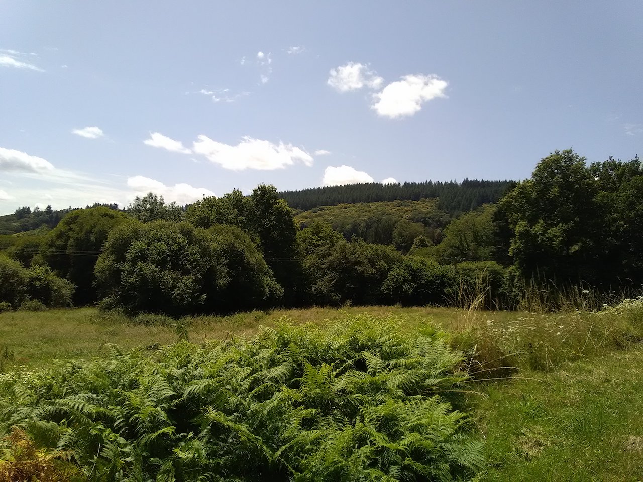 Chemin des villages, La Jonchère-Saint-Maurice - photo 4