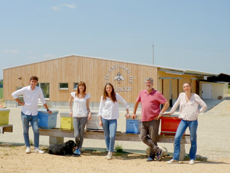 Les abeilles de Malescot - photo 4