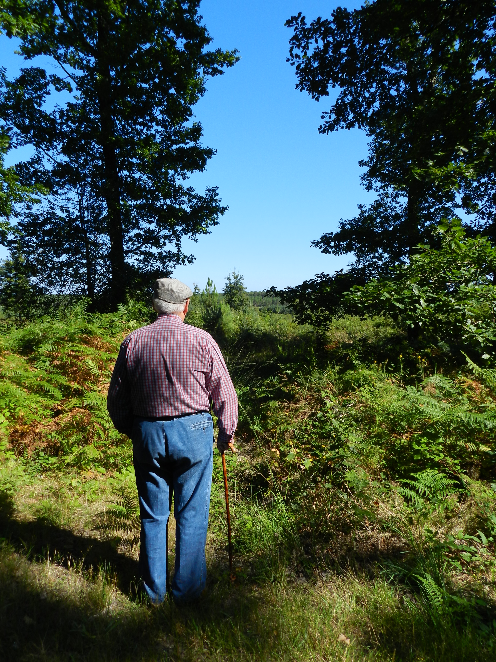 Forêt Domaniale de Moulière, Montamisé - photo 4