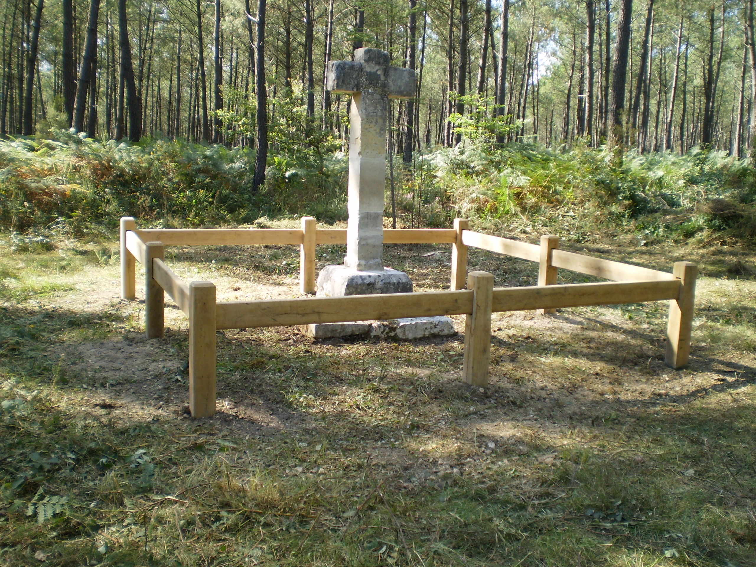 Forêt Domaniale de Moulière, Montamisé - photo 2