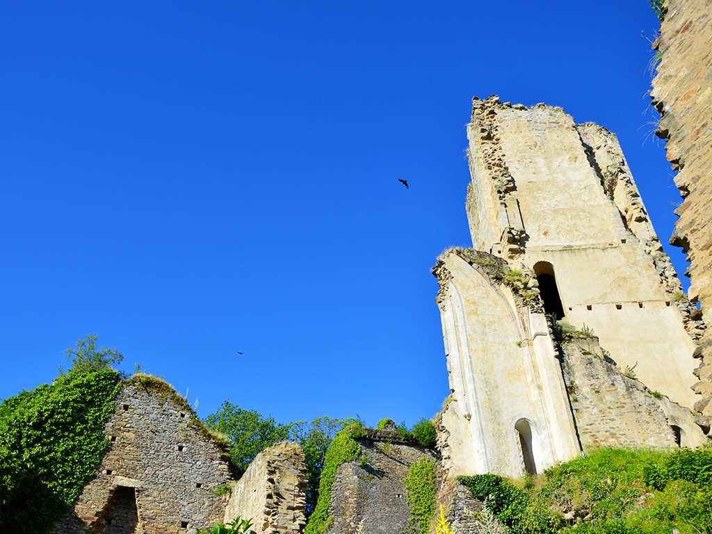 Fête à Châlucet - Journée d'animations