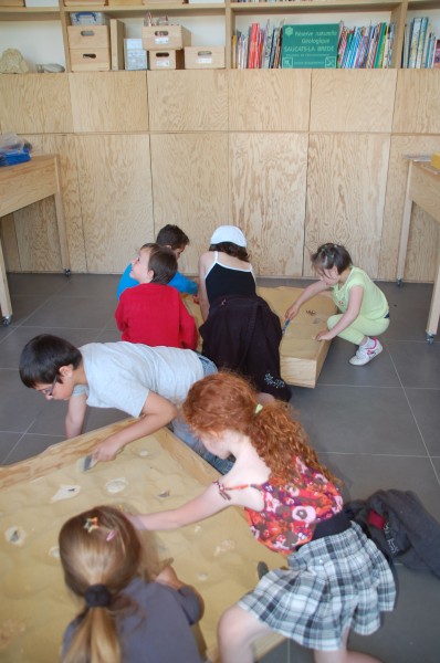 Que nous racontent les fossiles, Saucats - photo 2