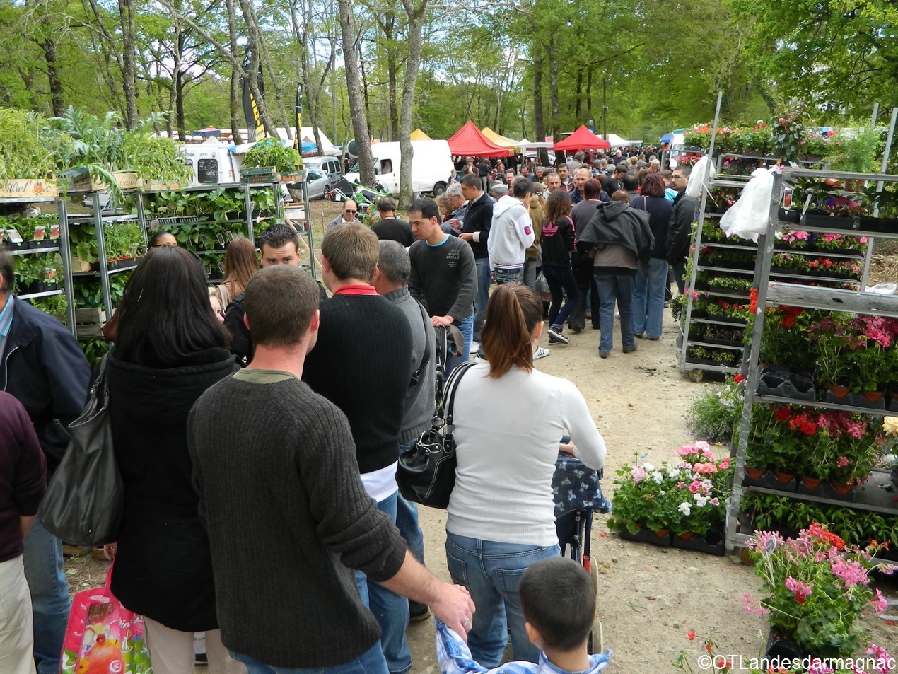 Foire du 1er Mai, Saint-Justin - photo 8