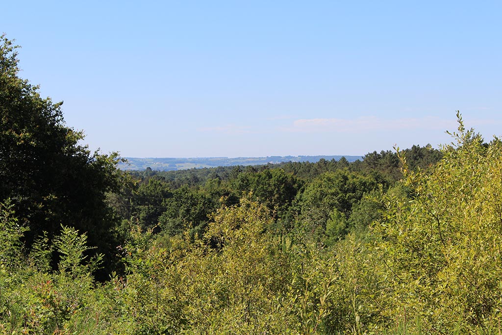 Boucle de la Lidoire - Fraisse, Fraisse