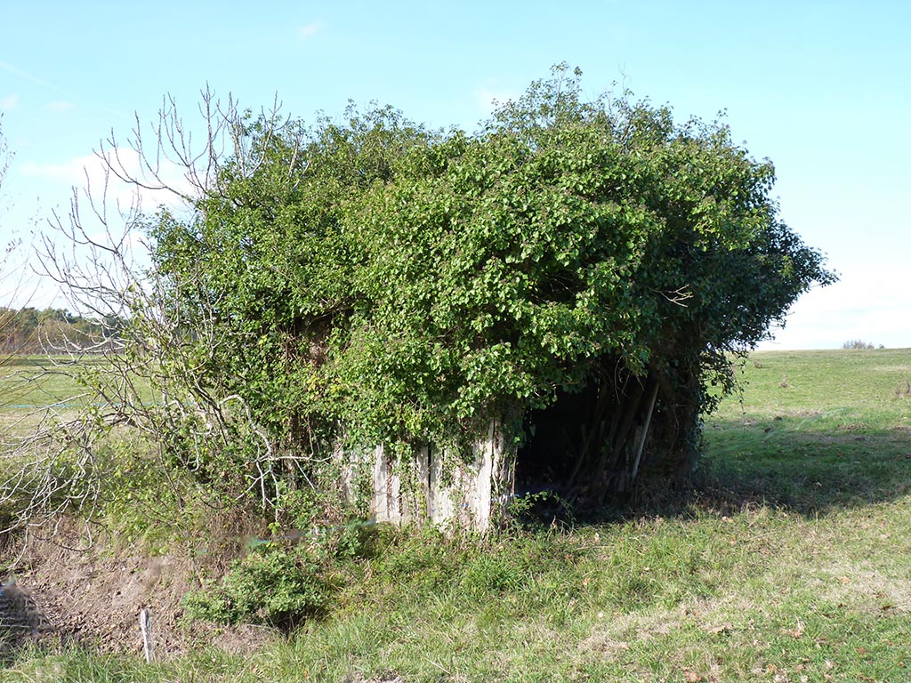 le Tour du Village de Fraisse, Fraisse - photo 4