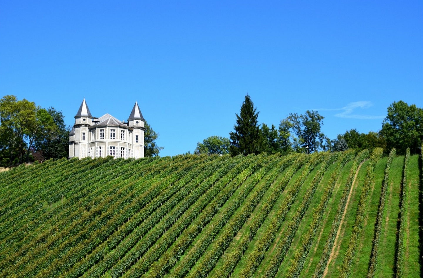 Bizanos - Les hauteurs de Franqueville - photo 2