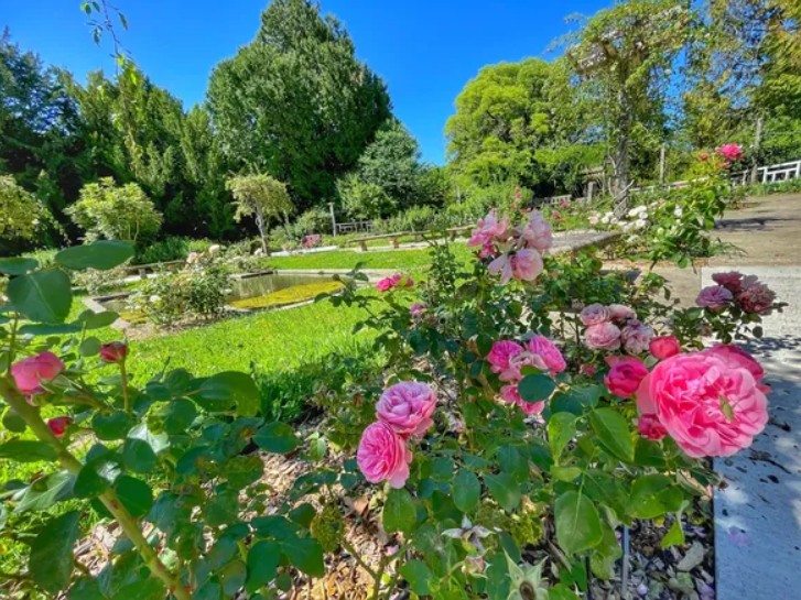 Fête des plantes et du jardin de la rose