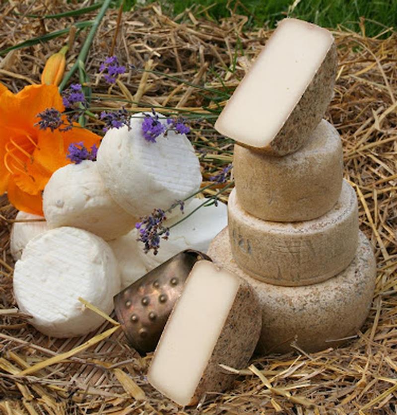 Ferme de Lou Viens