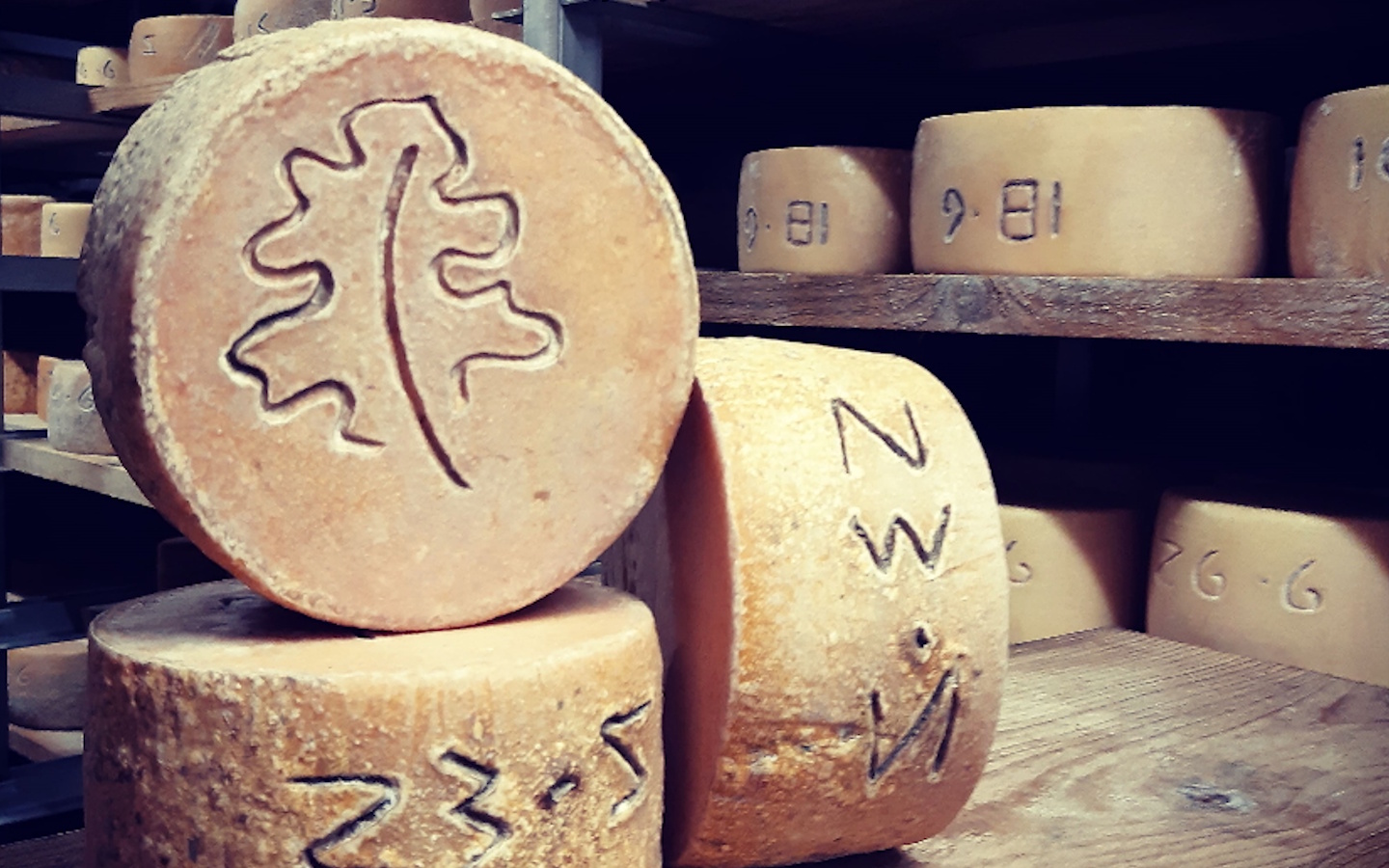 Visite de la ferme Ametzalde (fromage de brebis Ossau Iraty, miel et charcuterie BIO). Sur réservation, Lasse - photo 4