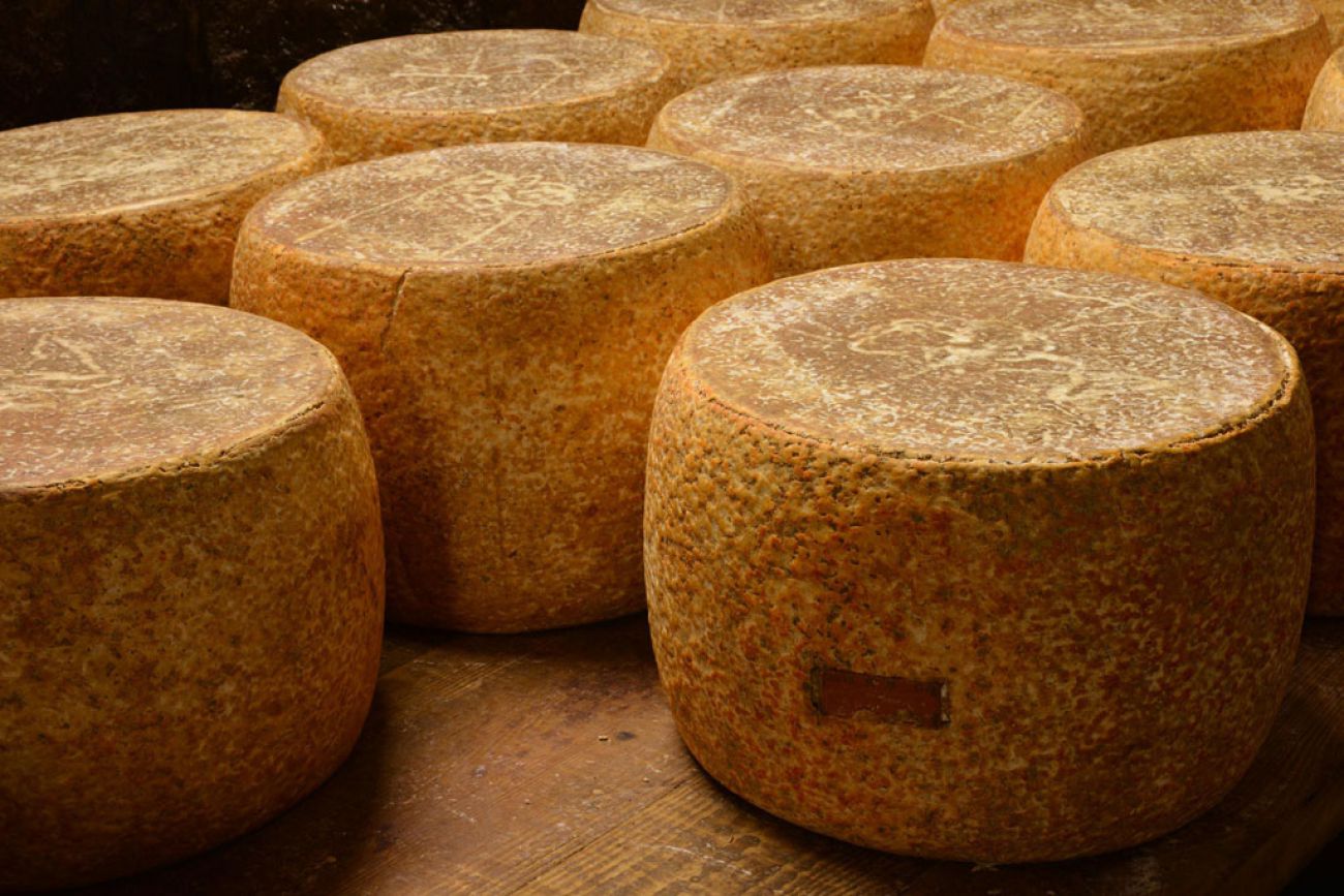 Vélo et Fromages en Xaintrie Blanche — photo 2