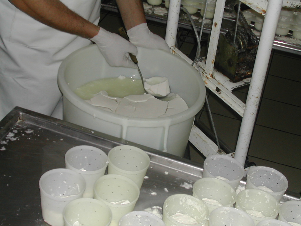 Gîte "La Gâtinelle", Pompaire - photo 14