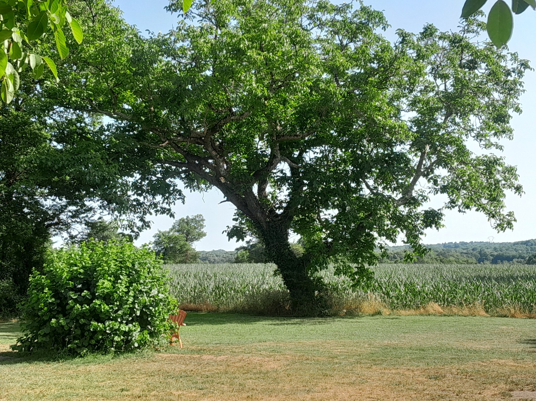 La Libellule Blanche - Aux coeurs joyeux, Videix - photo 29
