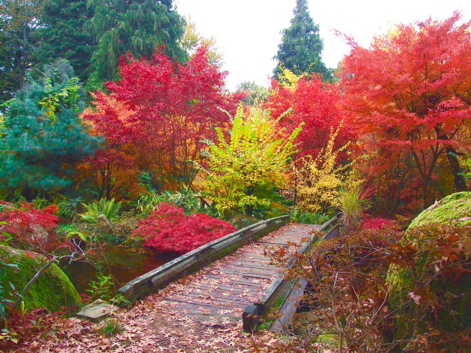 Fukutsu-En Jardin Japonais, Bonnac-la-Côte - photo 4