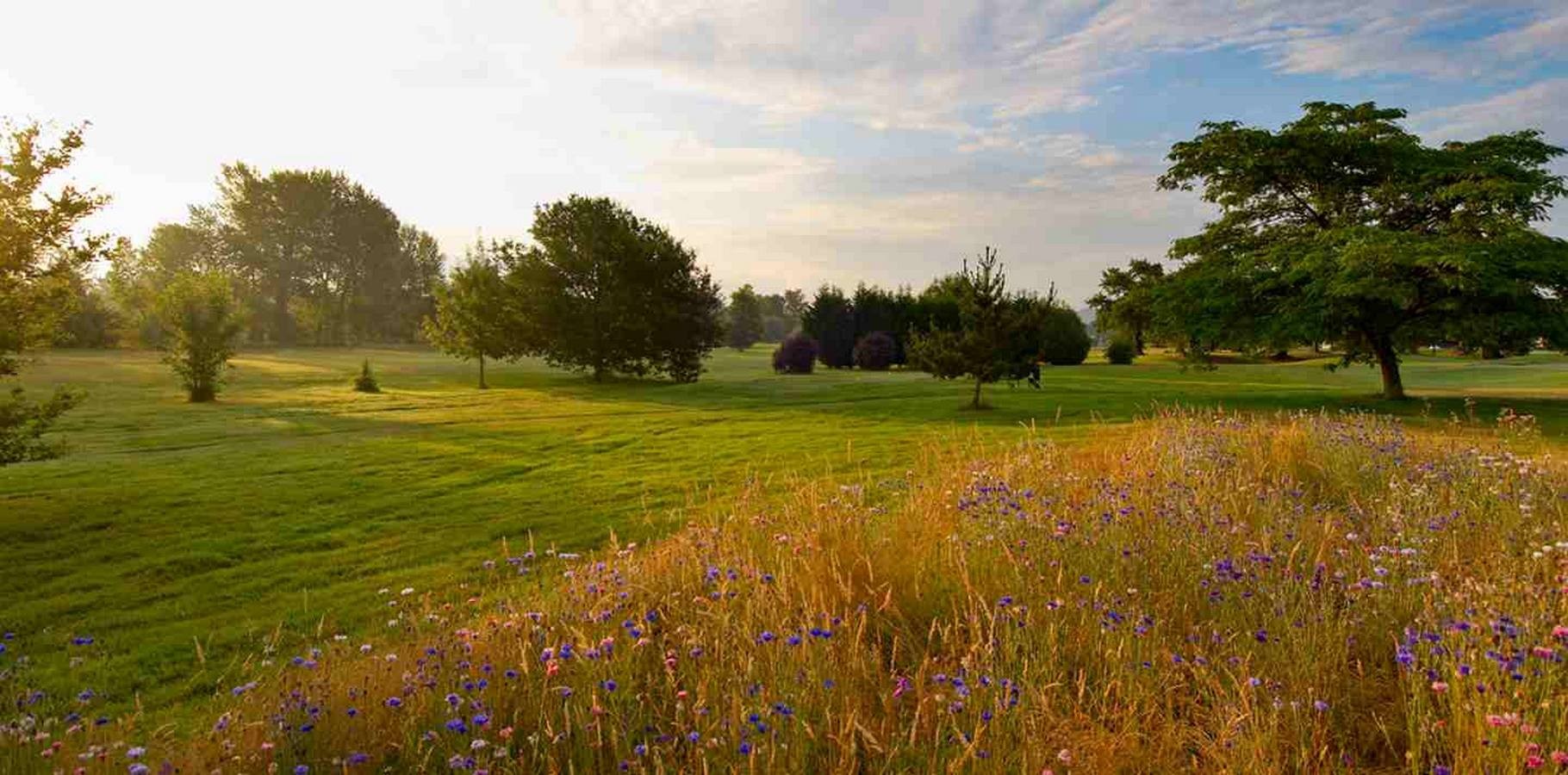 Blue Green Golf de Pau Artiguelouve - photo 5