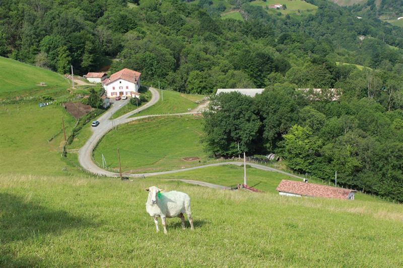 Ferme Ohako