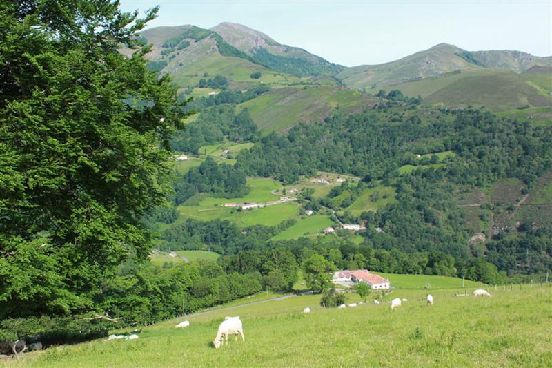 Ferme Ohako