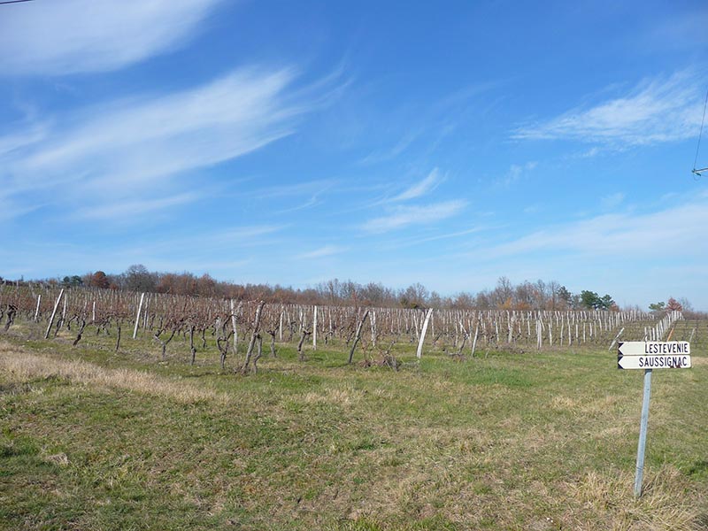 Boucle de Gageac et Rouillac, Gageac-et-Rouillac