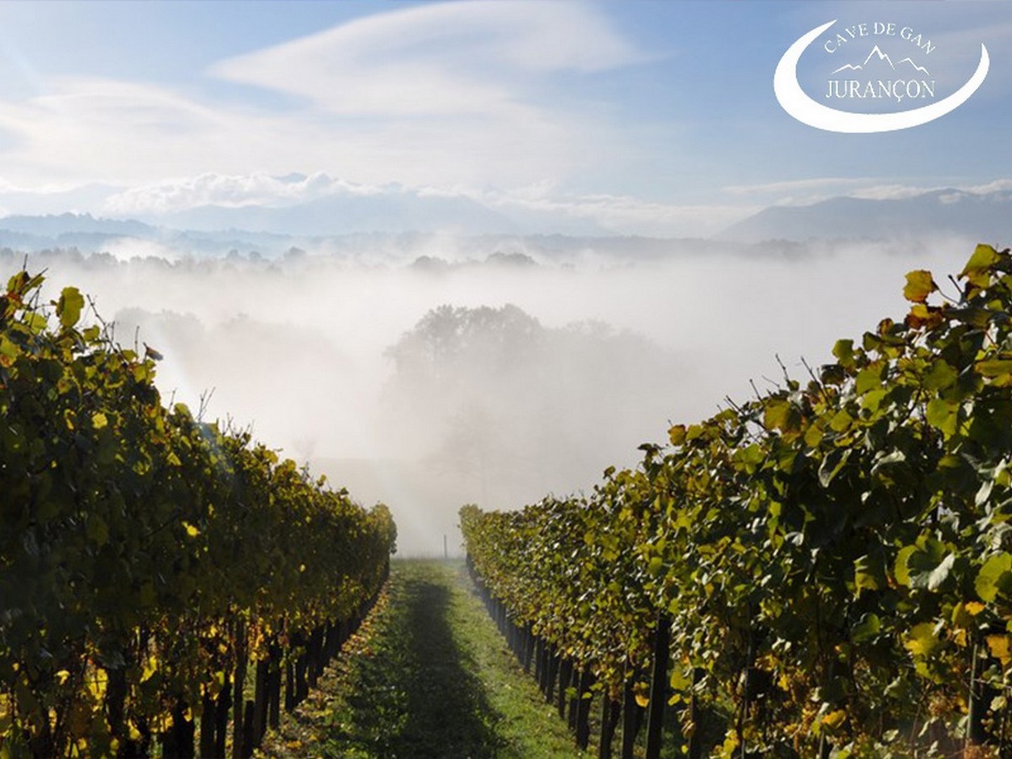 Cave des producteurs de Jurançon, Gan - photo 3