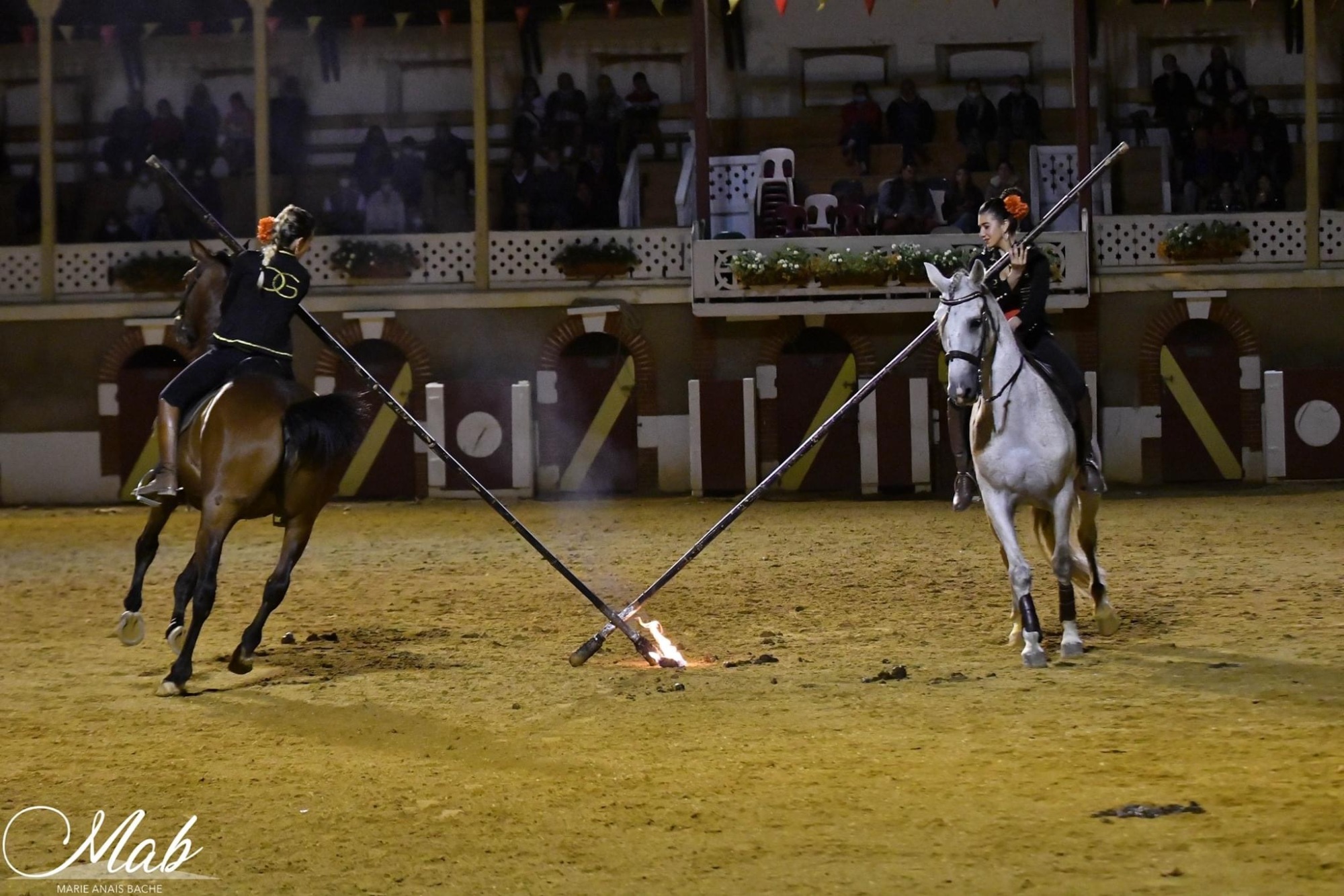 Ganadéria Grenet, Labatut - photo 3