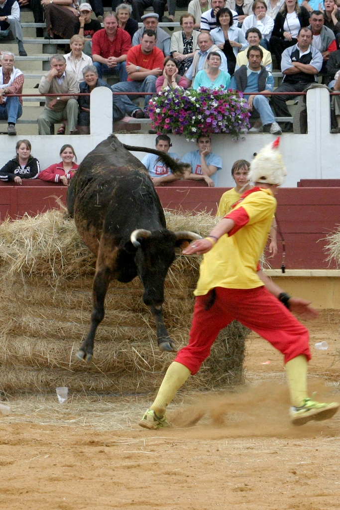 Ganaderia de Maynus, Saint-Sever - photo 7