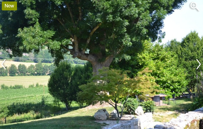 La Grange de Gazelle, Saint-Antoine-de-Ficalba - photo 12