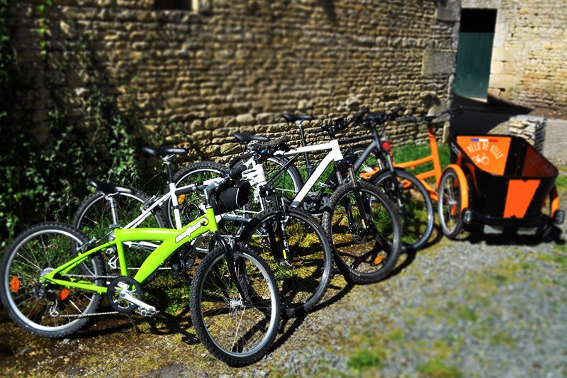 Le Cul de Chouette - Gite & Vélos, Arçais - photo 3