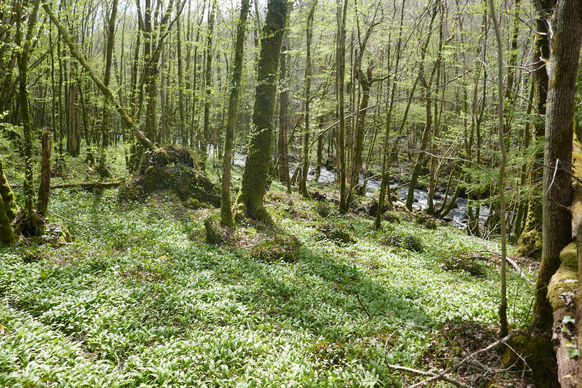 Tèrra Aventura : Aux pierres de la lune