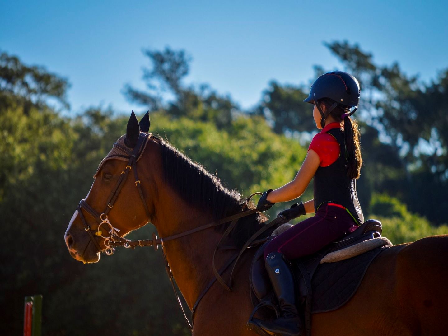 Le Carrousel Aquitain