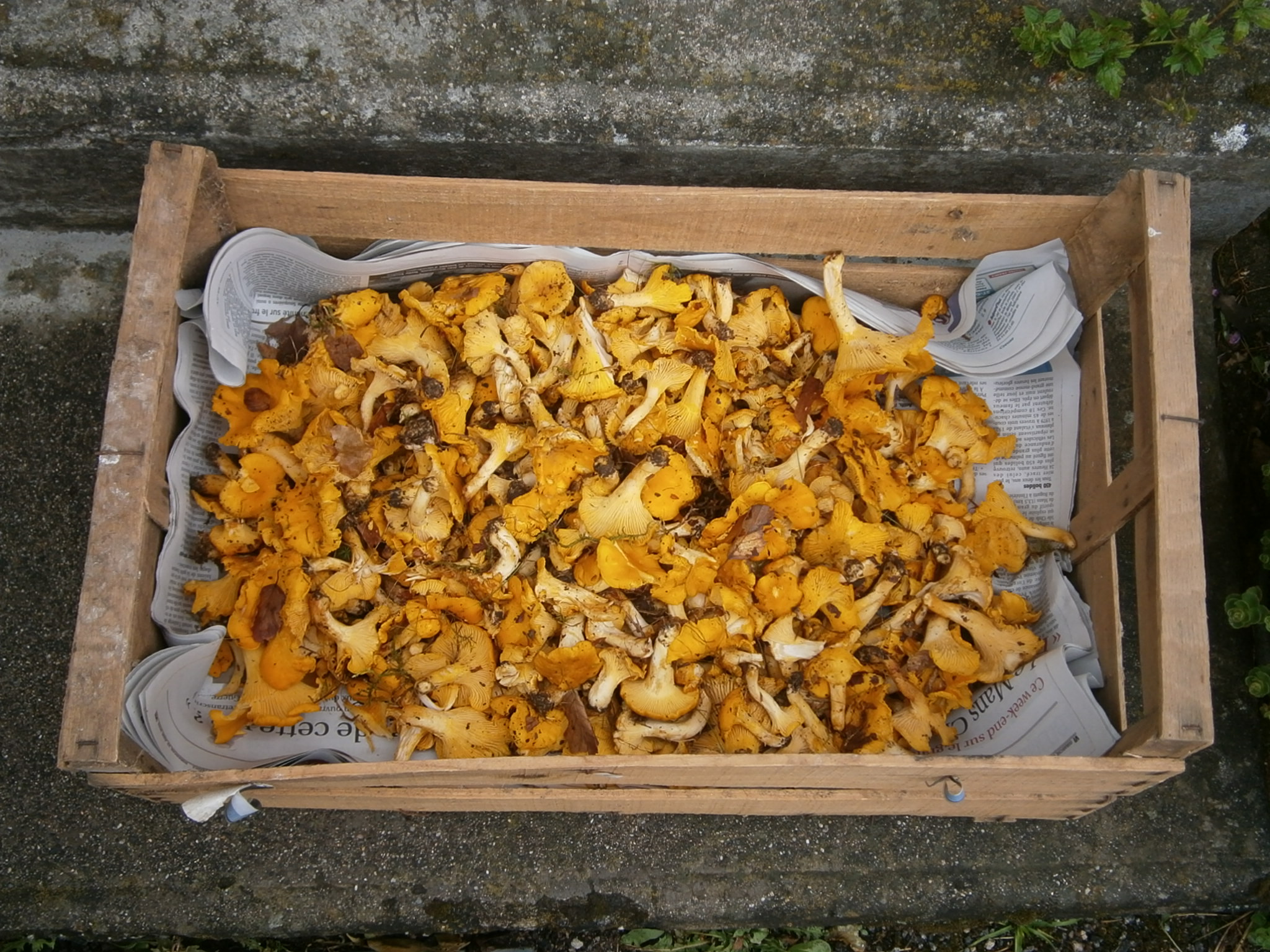 Location de Mireille PEYRONNAUD, Flayat - photo 25