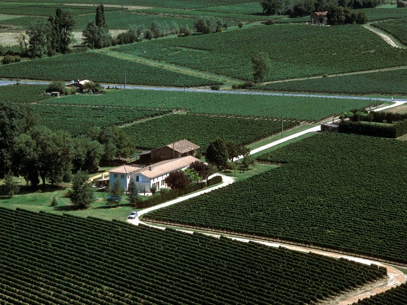 Château Le Rimensac, Cars
