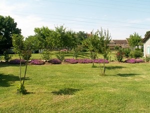 Maison La Petite Vigne - photo 3