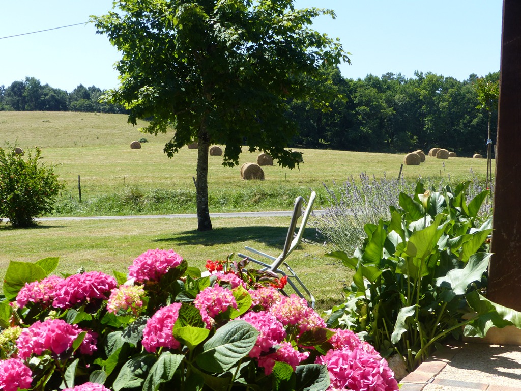 La Ferme de la Forêt, Beauronne - photo 20