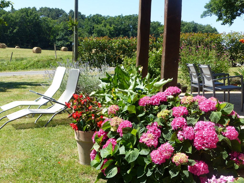 La Ferme de la Forêt, Beauronne - photo 18