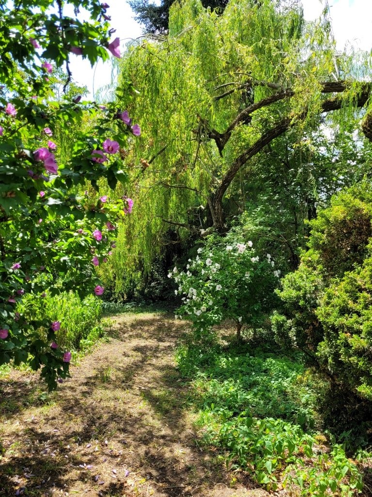 L'Escale, Douzillac - photo 12