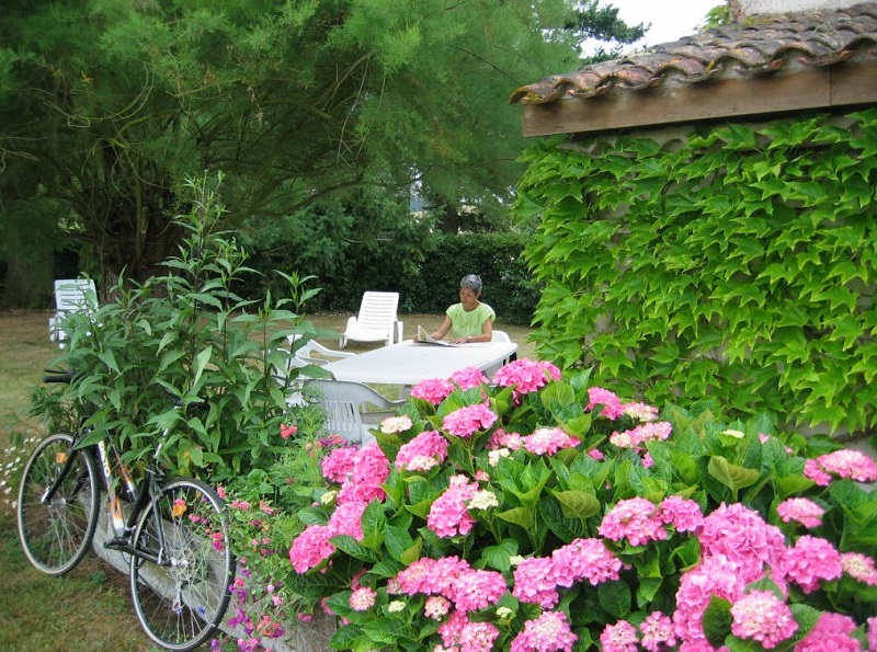 Gîte de Boissec, La Sauvetat-du-Dropt - photo 12