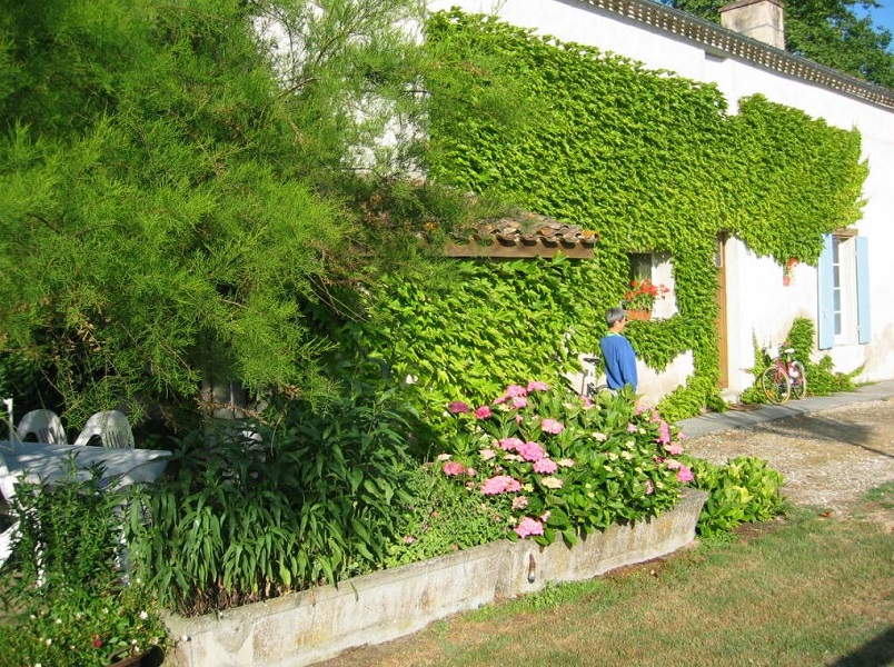 Gîte de Boissec, La Sauvetat-du-Dropt - photo 4