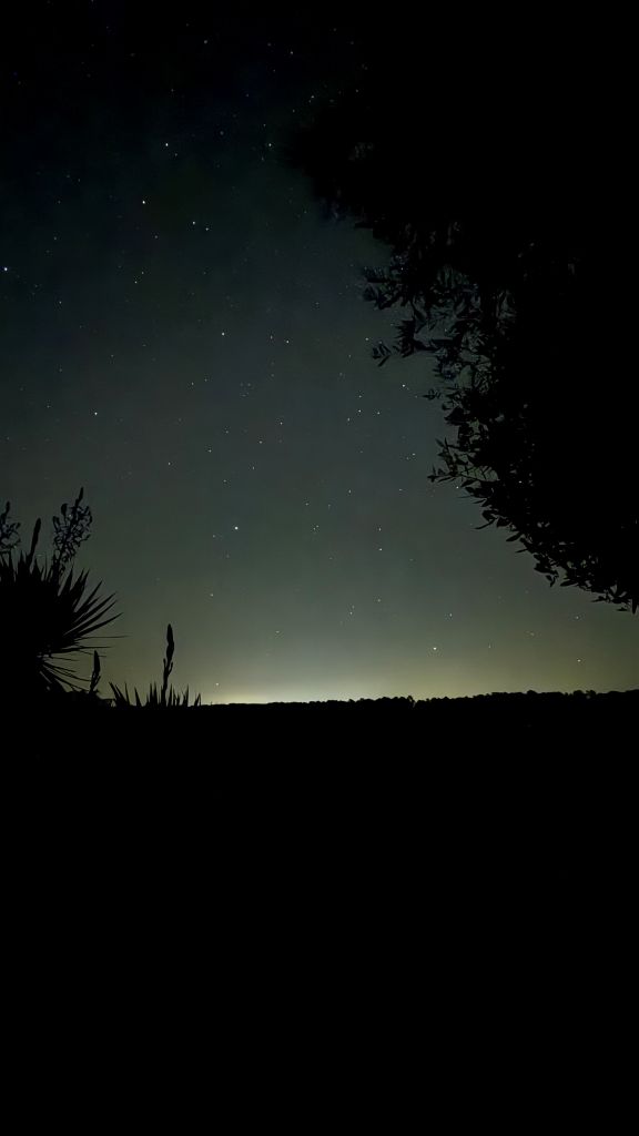 Chez Nath à l'Orée du Bois, Saint-Sauveur-Lalande - photo 10