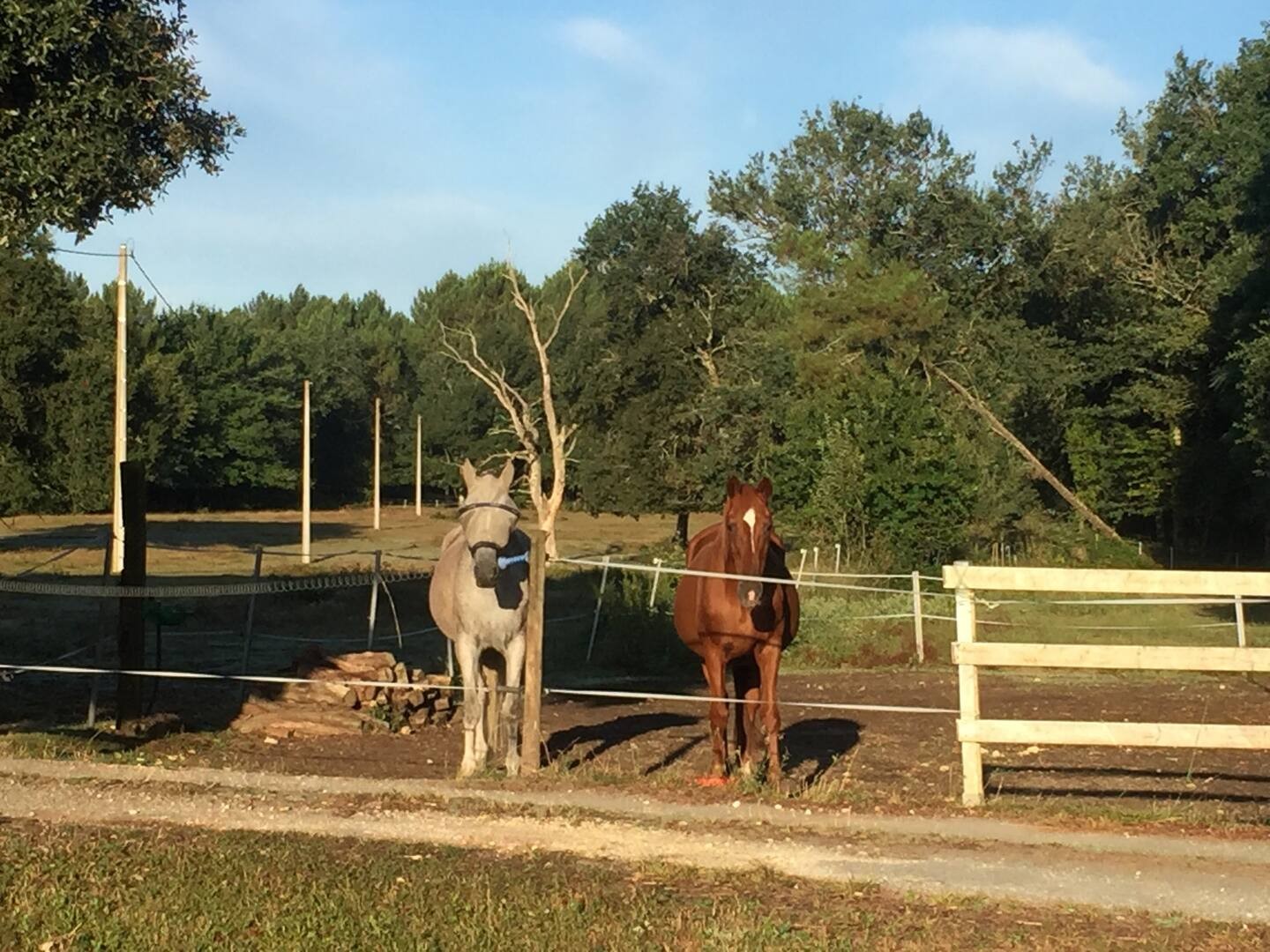 Gîte du Château du Hâ, Saint-Sauveur - photo 2