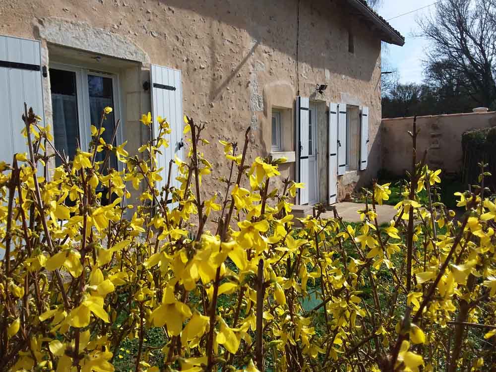 Gîte des Bruyères, Saint-Sauvant - photo 6