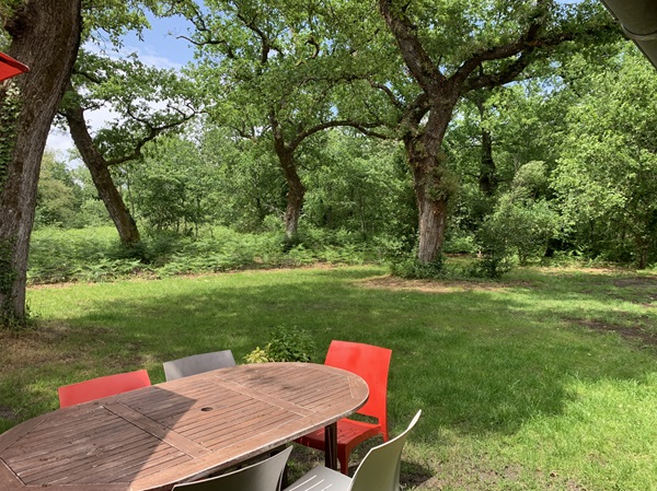 Gîte du Caché, Labrit - photo 10