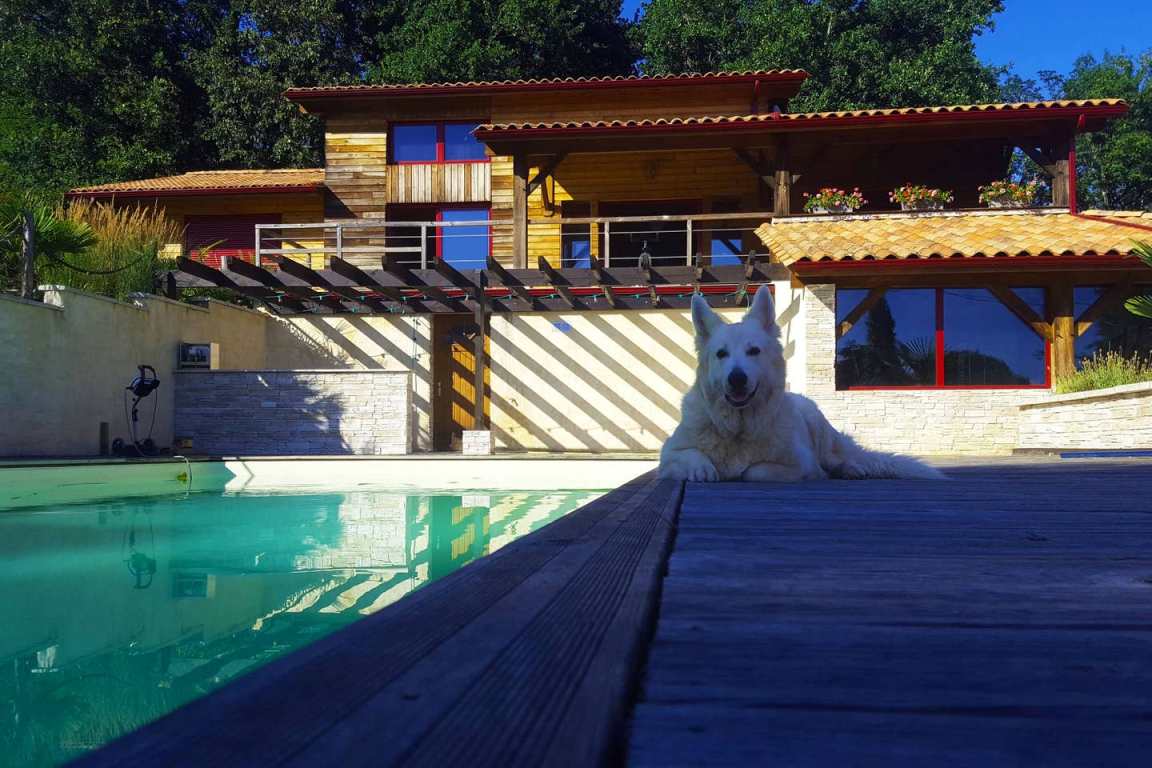Le Petit Nice, Douzillac - photo 25
