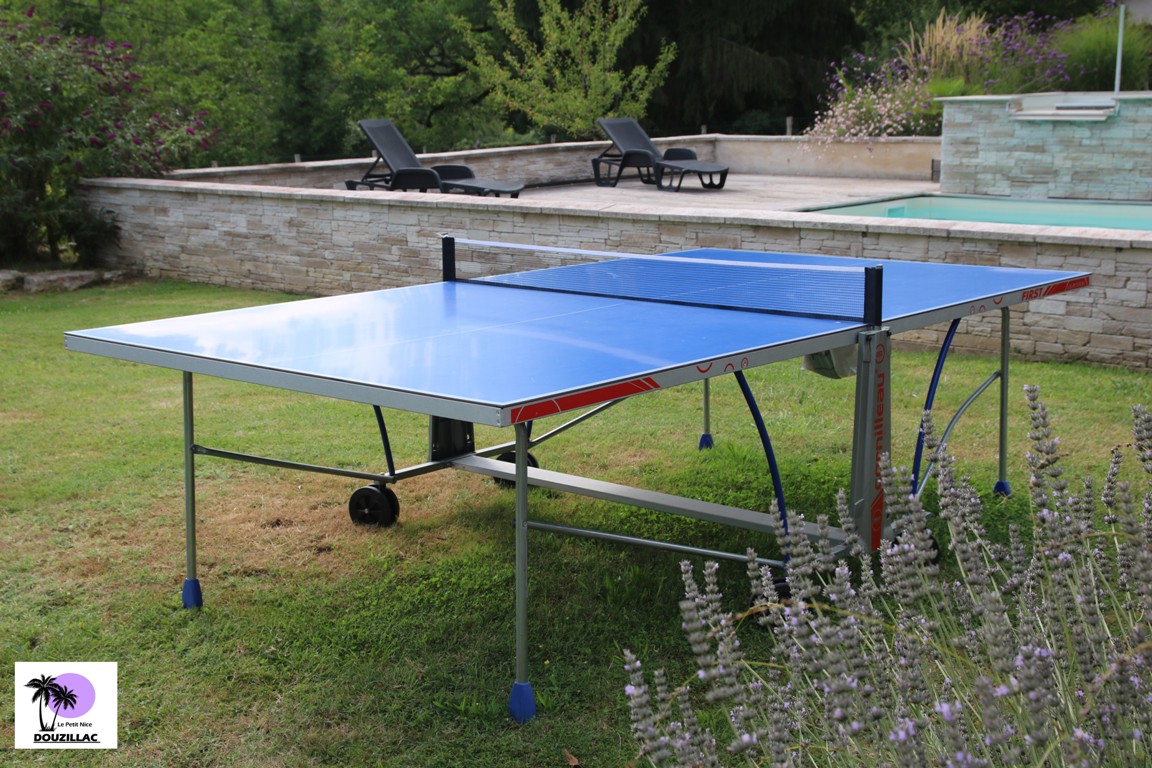 Le Petit Nice, Douzillac - photo 6