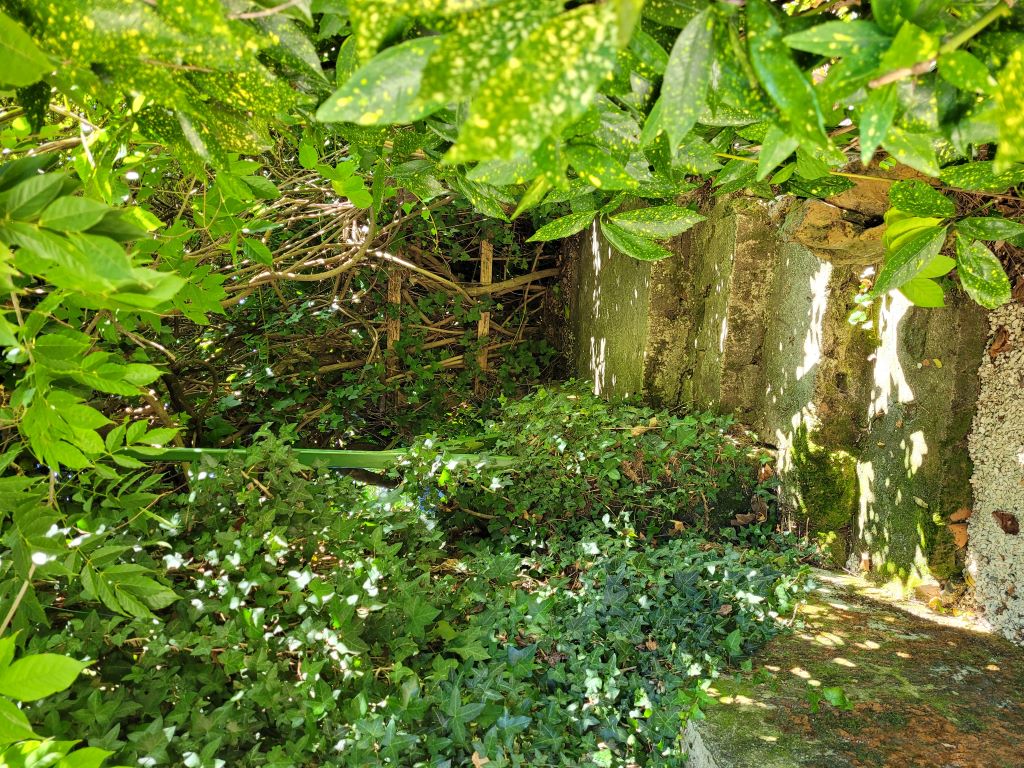 Le Séchoir d'Alice, Saint-Germain-du-Salembre - photo 38
