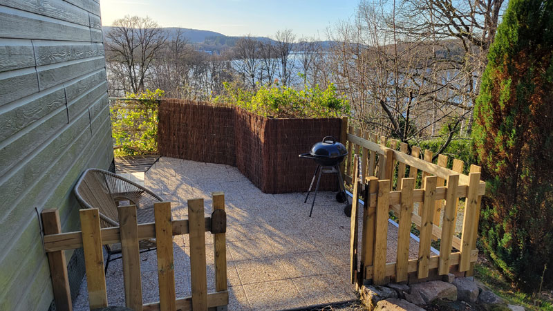 Chanterelle - photo 4