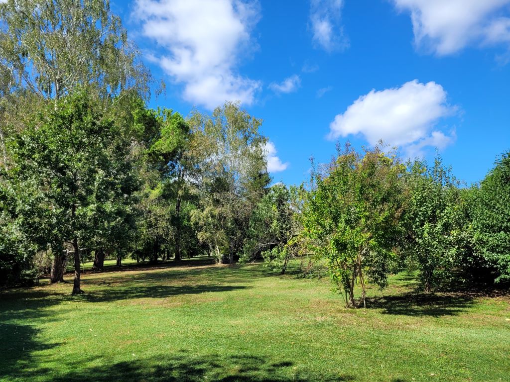 Gîte Pierre Forte, Saint-Léon-sur-l'Isle - photo 31