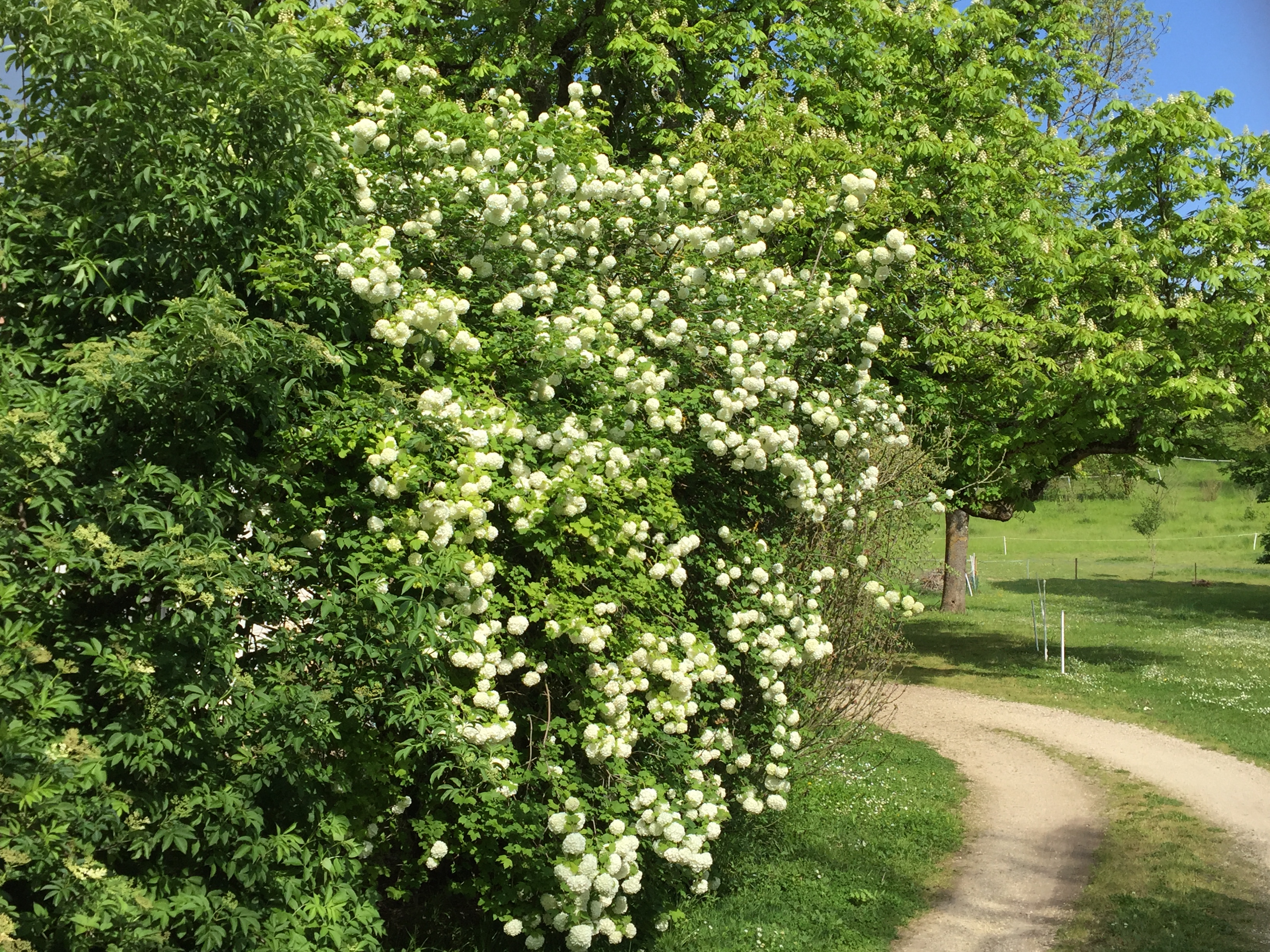Gîte Nature du Domaine de Puy Le Comte, Montamisé