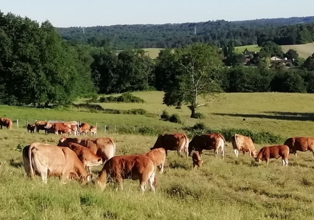 Gîte Aux Bois d'en Temps, Lunas - photo 5